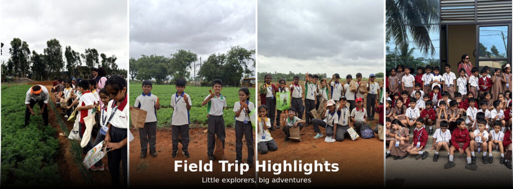 Four-panel banner of students on field trips, harvesting carrots in a farm field and posing together outside a building with the title 'Field Trip Highlights.