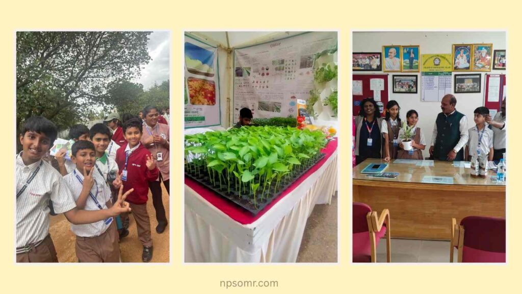 A glimpse of students exploring horticulture and learning about plants during their field trip.
